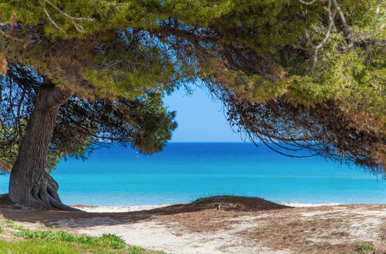 Apartament Countess Of The Bay Attic E Alcudia (Mallorca)