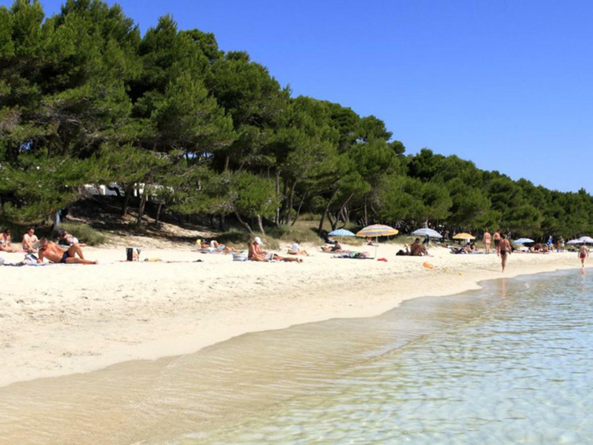 Apartament Countess Of The Bay Attic E Alcudia (Mallorca)