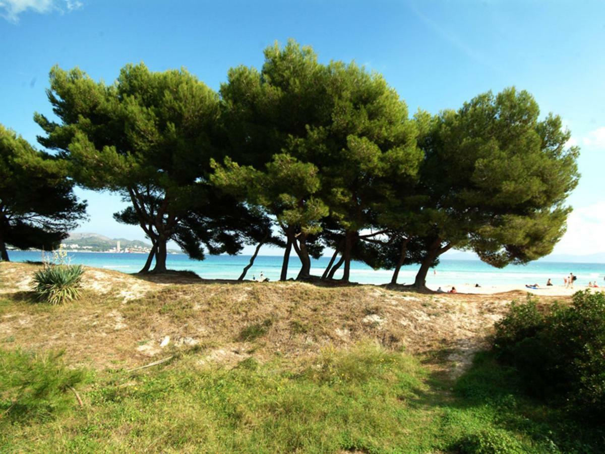 Lejlighed Apartament Countess Of The Bay Attic E